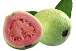 Guava Whole and Half With Leave