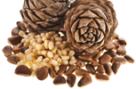 Pine Nuts Shelled and Unshelledl