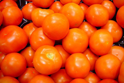 Bright red Tomatoes